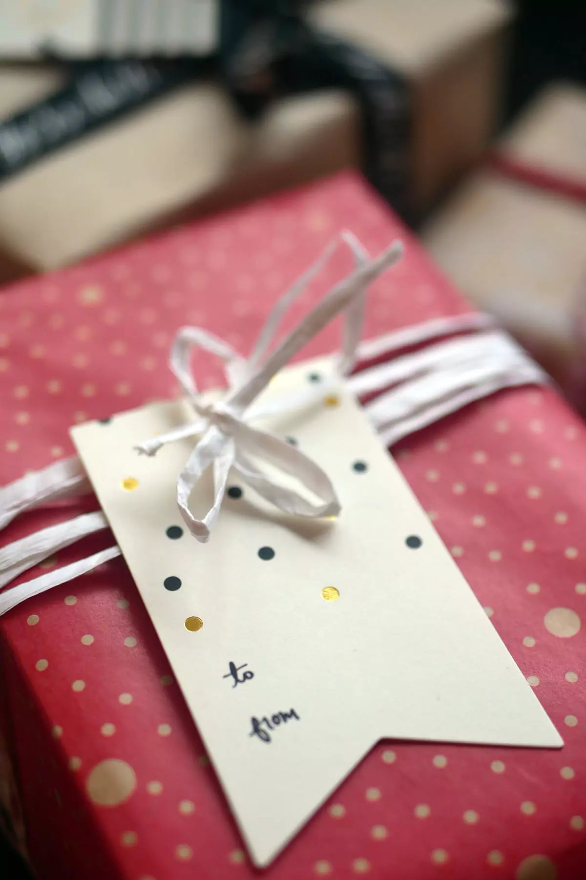 Gold & Black Confetti Gift Tags - Polka Dot (5 Pack)